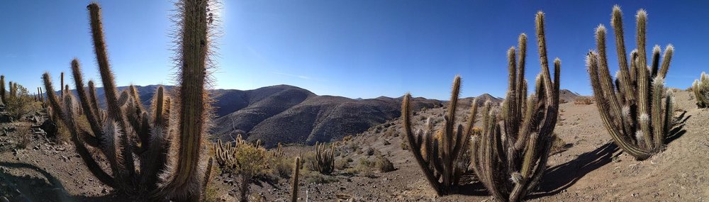 20181110_ballade_colline_relais_Wifi_13.
