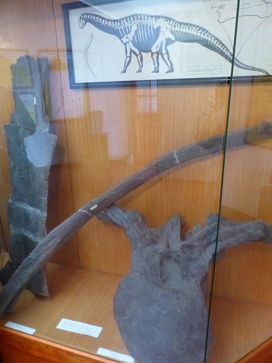 20181112_Pichasca_Ovalle_vallee_del_Enca