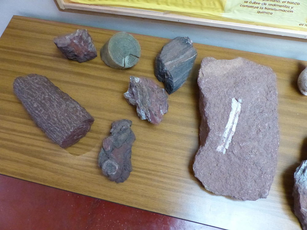 20181112_Pichasca_Ovalle_vallee_del_Enca