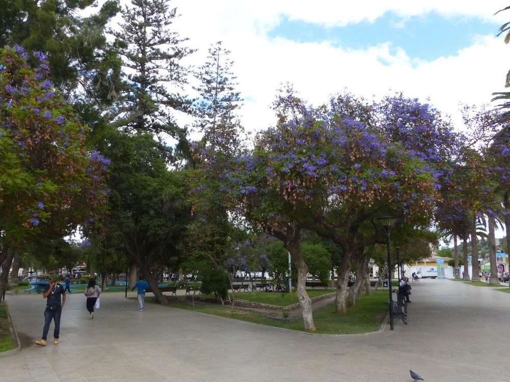 20181112_Pichasca_Ovalle_vallee_del_Enca