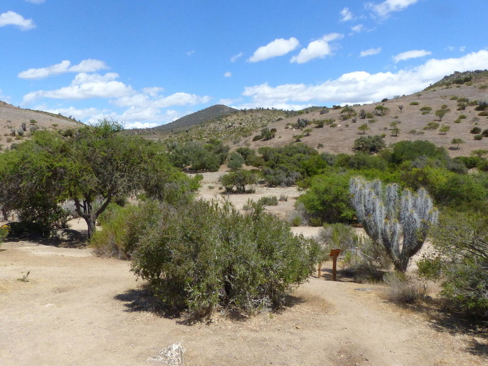 20181112_Pichasca_Ovalle_vallee_del_Enca