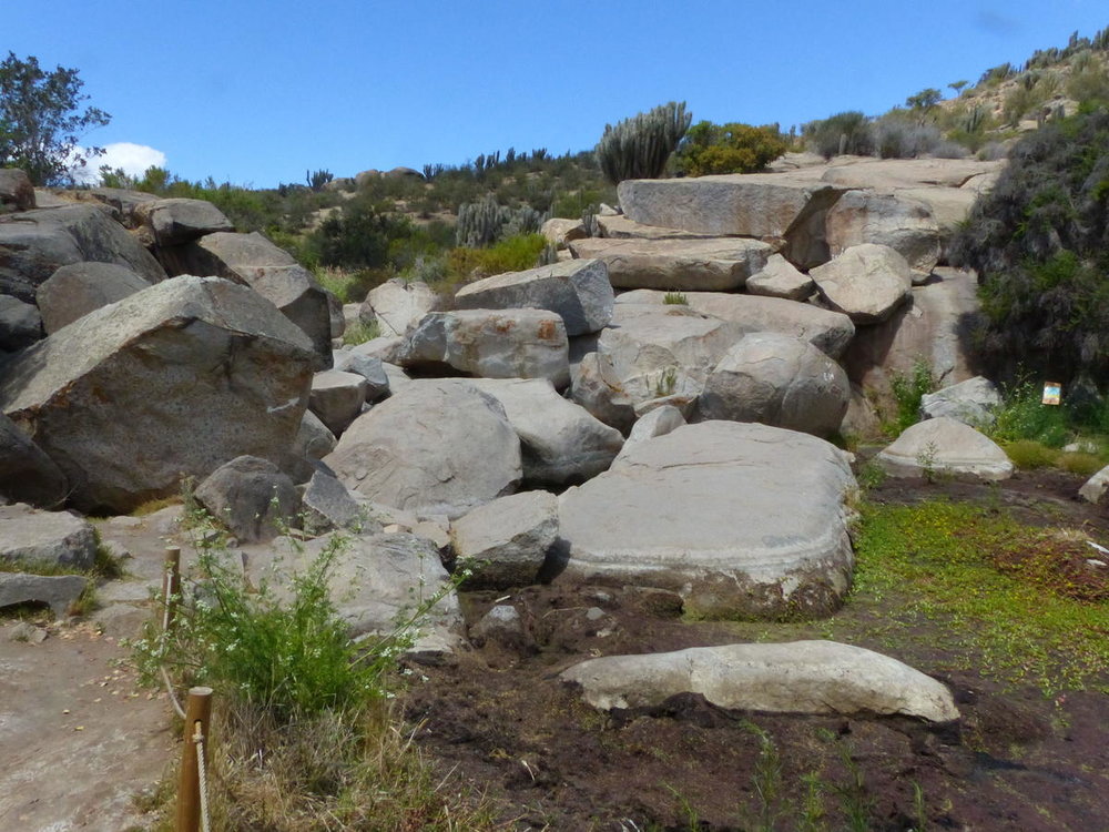 20181112_Pichasca_Ovalle_vallee_del_Enca