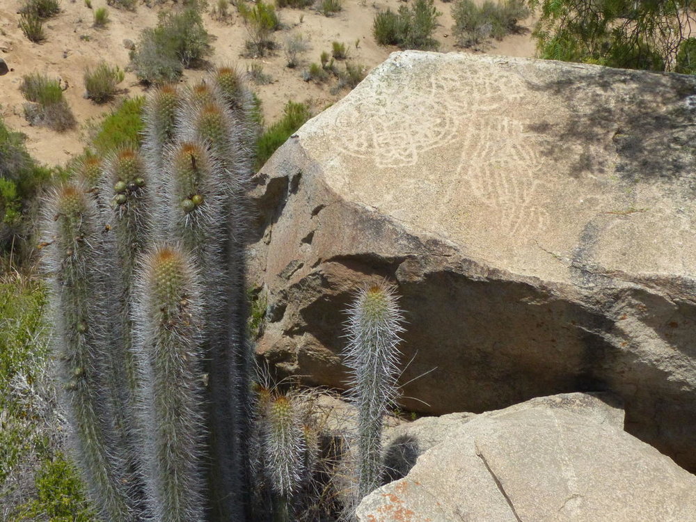 20181112_Pichasca_Ovalle_vallee_del_Enca