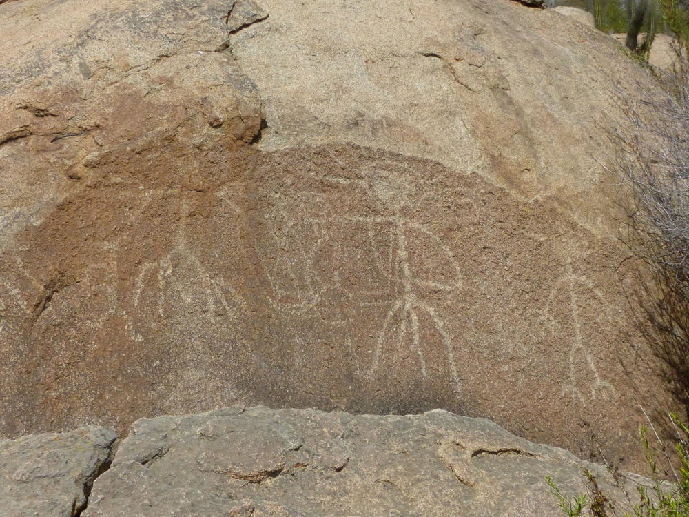 20181112_Pichasca_Ovalle_vallee_del_Enca