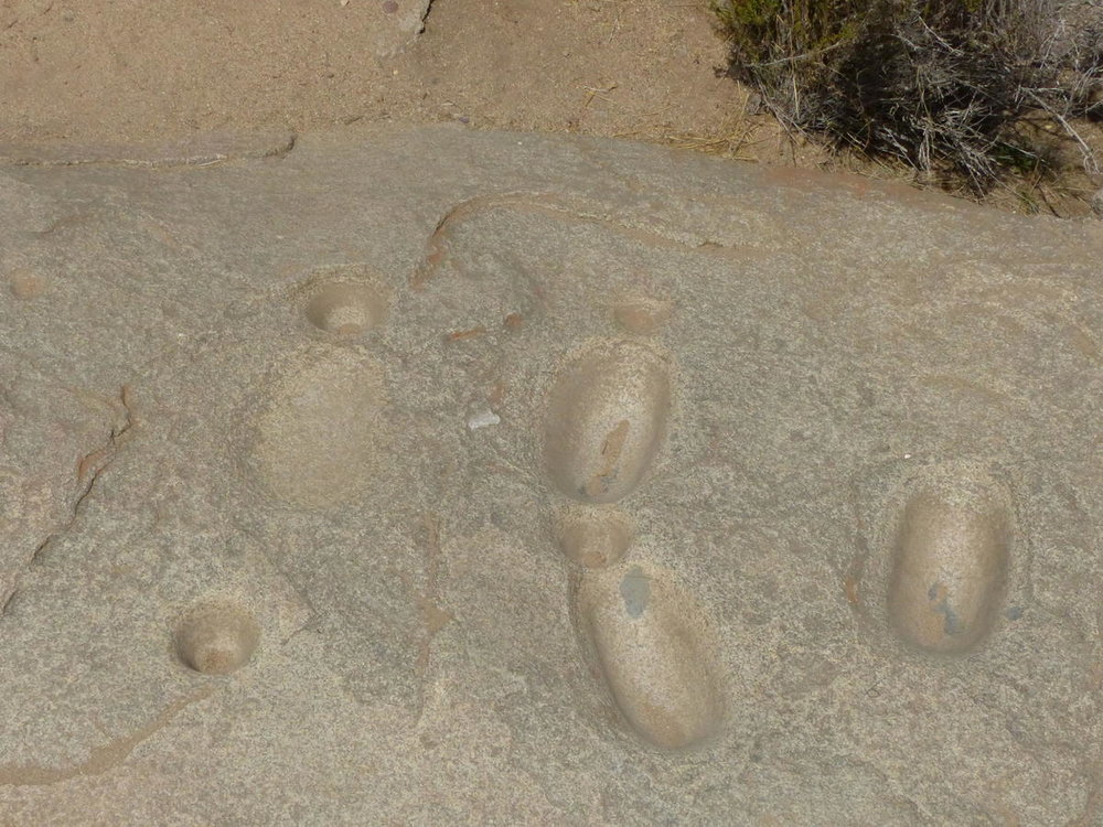 20181112_Pichasca_Ovalle_vallee_del_Enca