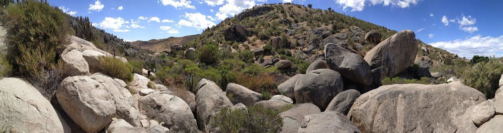 20181112_Pichasca_Ovalle_vallee_del_Enca