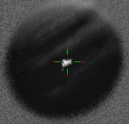 2019-06-23-2047_7-L_dtc_max-mean.jpg.ab7