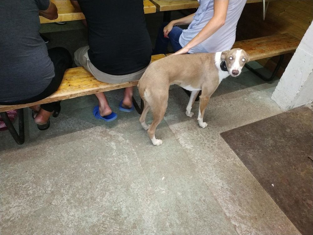 20190724_0730Estivales_Webastro_Margeria