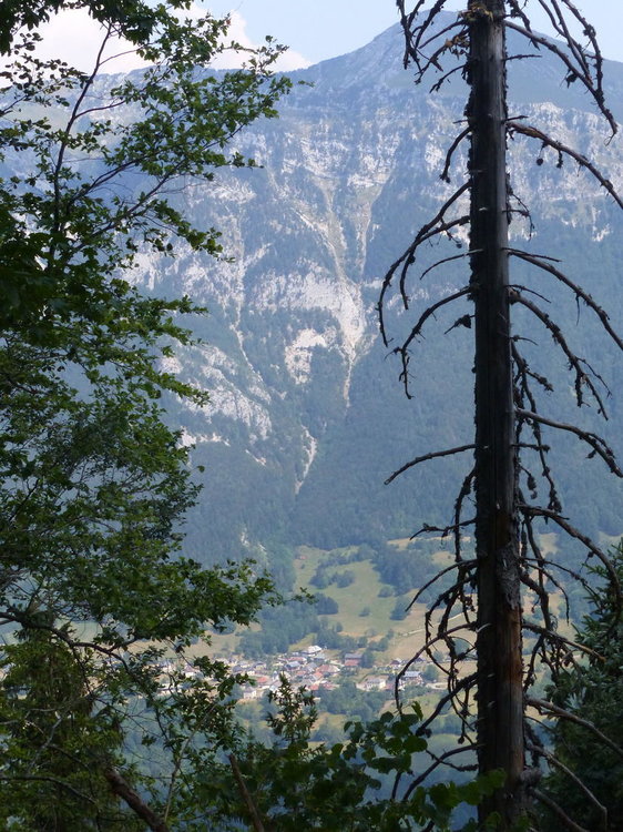 20190724_0730Estivales_Webastro_Margeria