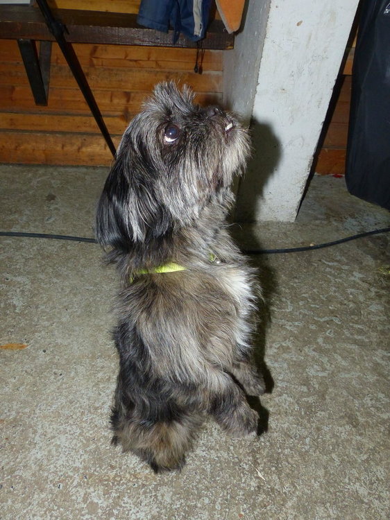 20190724_0730Estivales_Webastro_Margeria