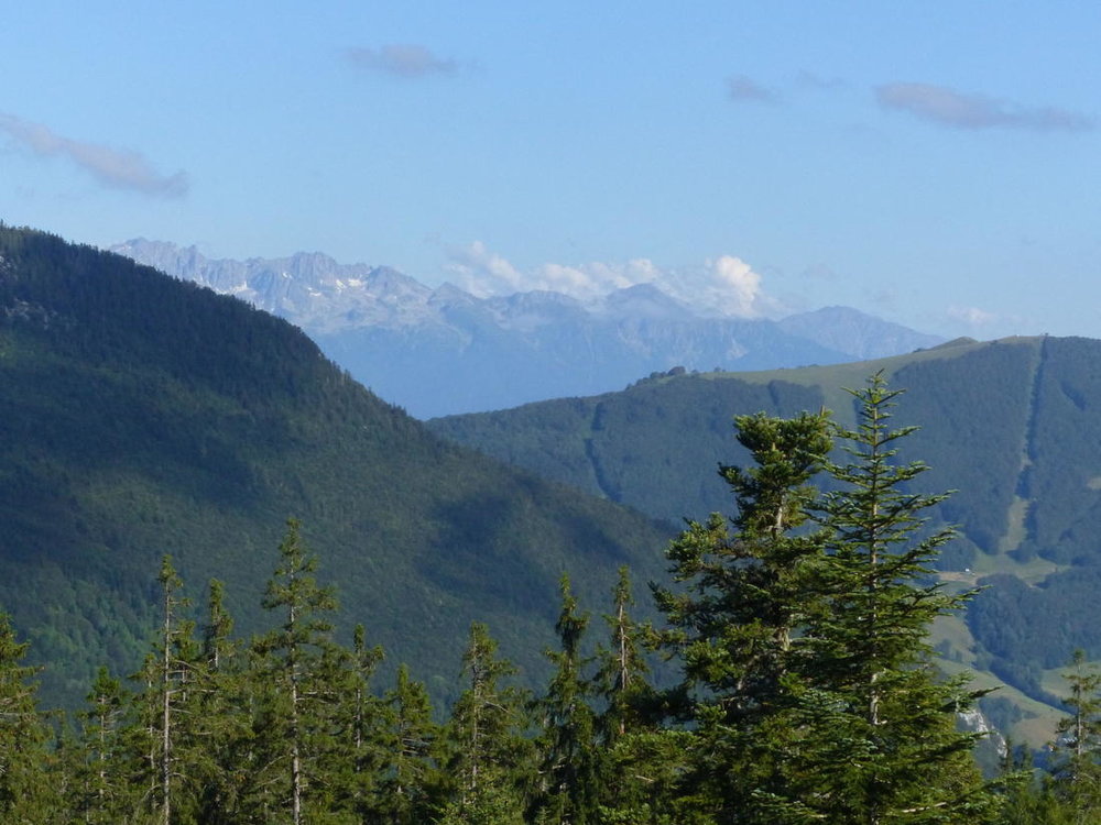 20190724_0730Estivales_Webastro_Margeria