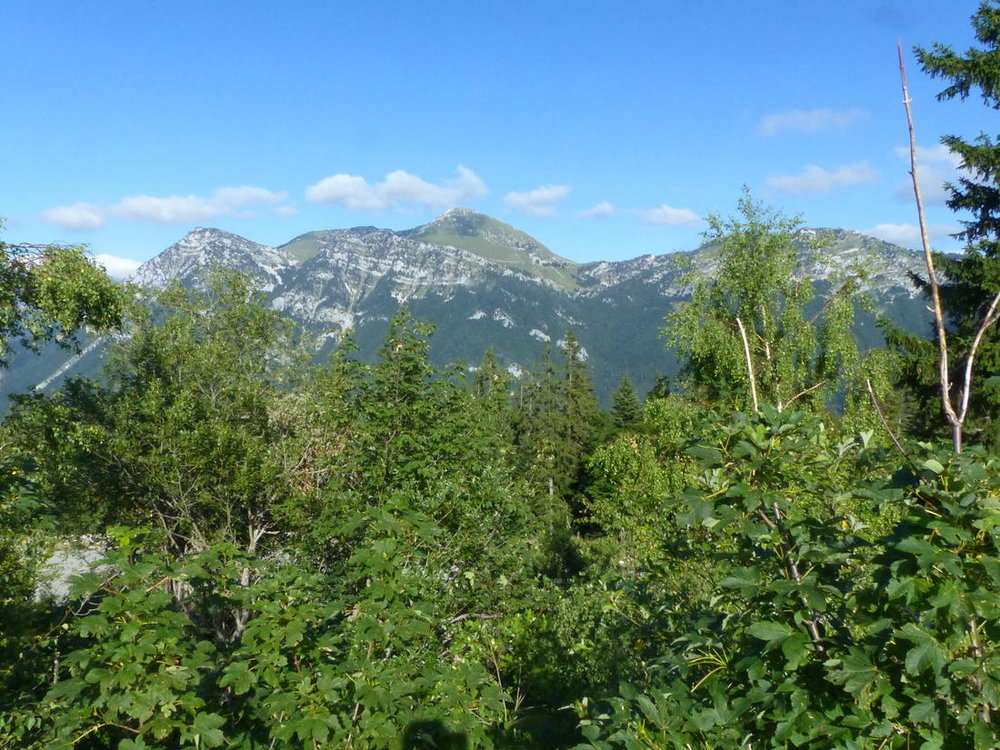 20190724_0730Estivales_Webastro_Margeria