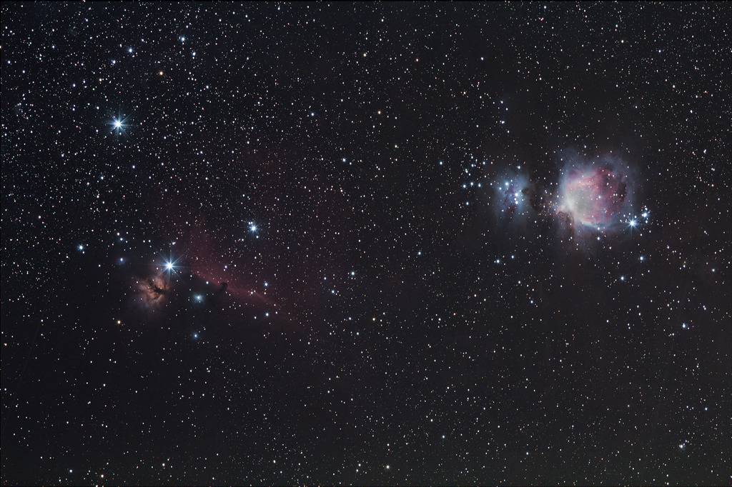 Grand champ dans Orion