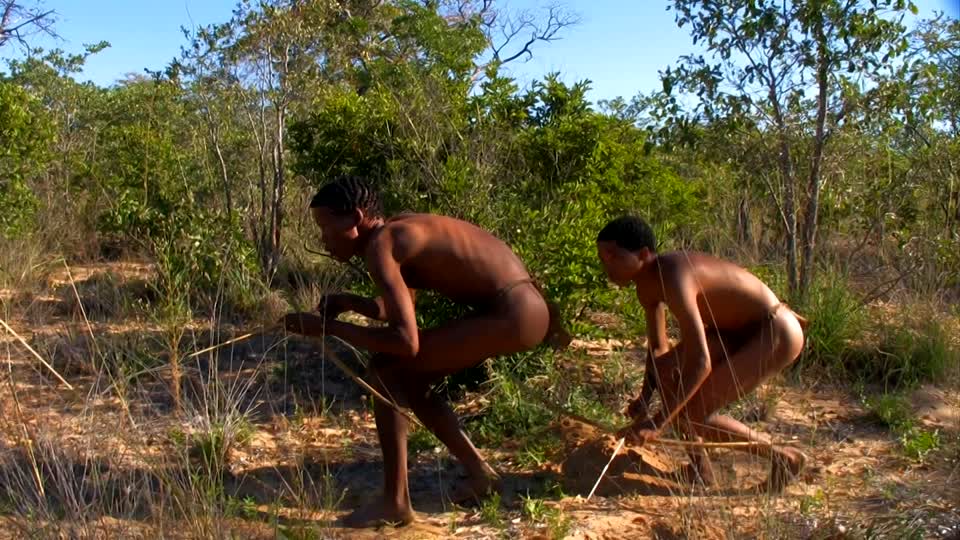 249016997-bow-and-arrow-sneaking-up-hunter-san-bushmen.jpg