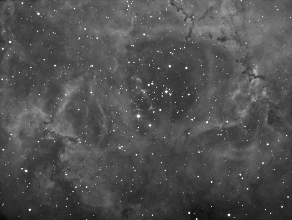 rosette_18_2_2015.jpg?psid=1