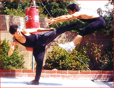 jeet-kune-do2.JPG