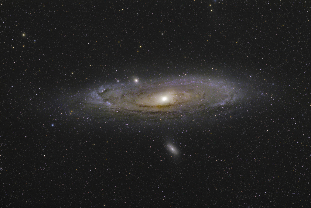 M31