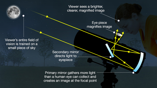 65116695_resized550bbc_sg_g7_reflectingt