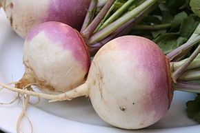 290px-Turnip_2622027.jpg