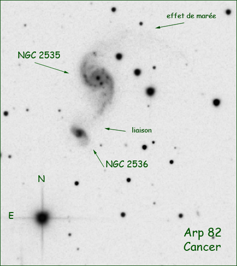 arp82_neg.jpg?psid=1