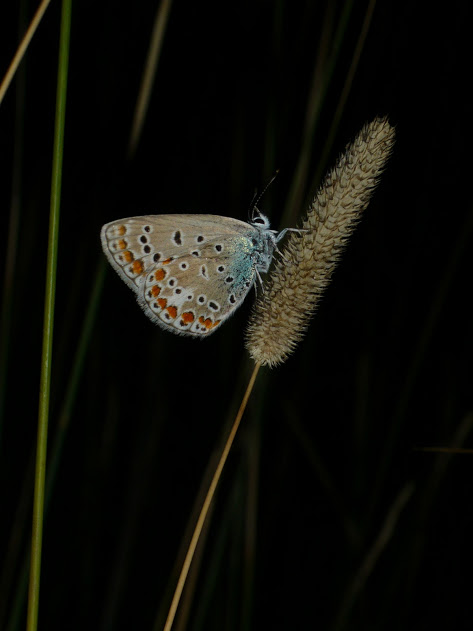 YO8rp19KuH7la1P6cIHxboA4s60J0UDSvg5xwUTB