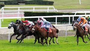 images?q=tbn:ANd9GcRITESaWKWdqzfjEdkgElB3bBXZUjUVC0T-ylHGTY0K2BxjLCix