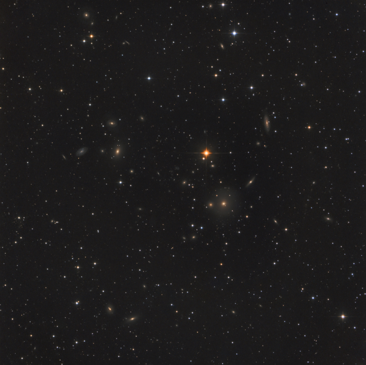 315284NGC503.jpg