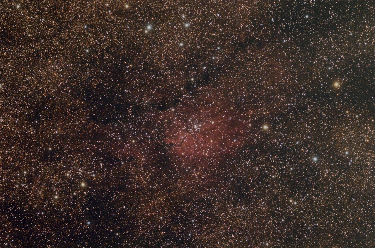 354603ngc682080edred1000d26x300seccuq.jpg
