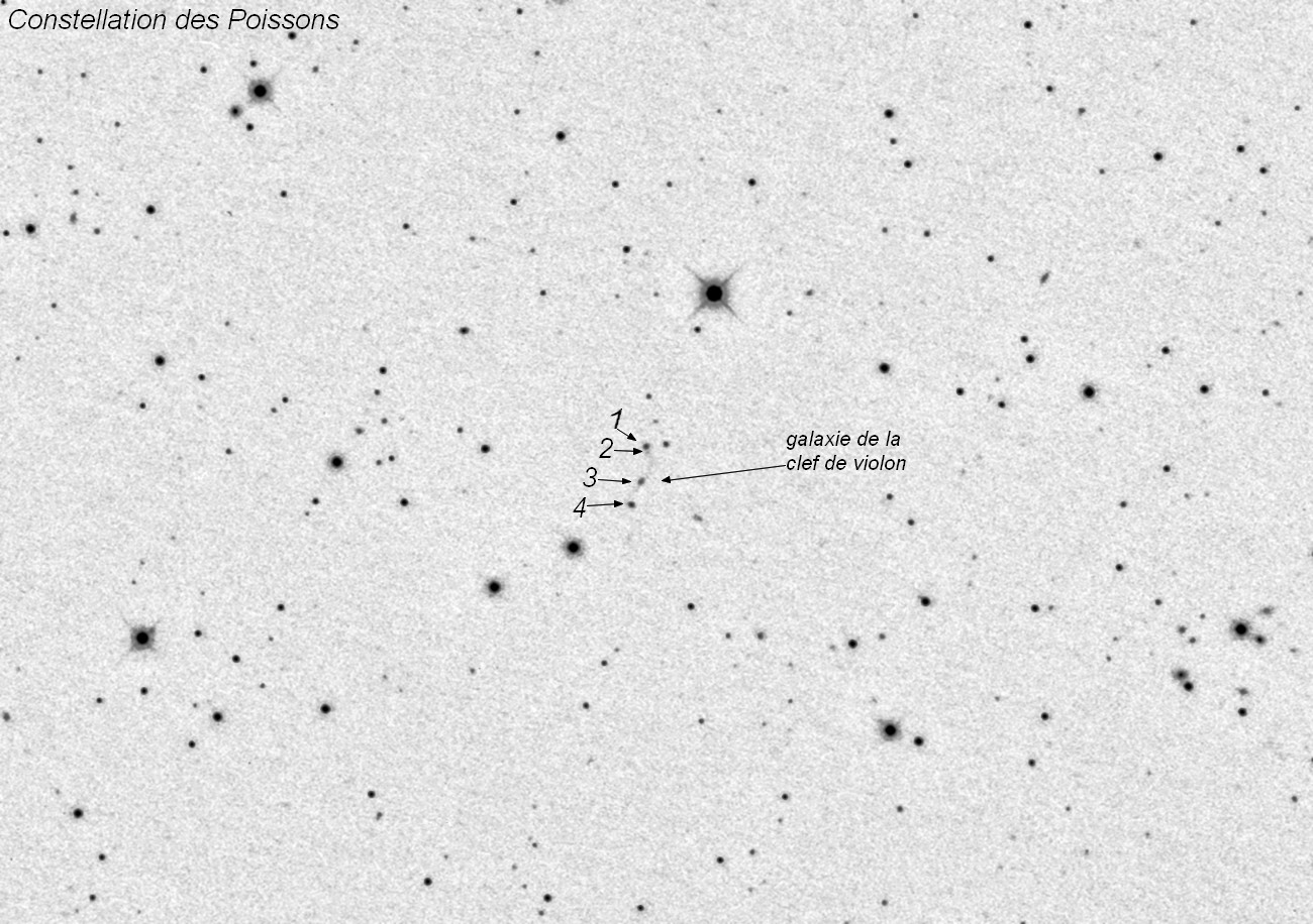 357630ngc12violonultimenegatif.jpg