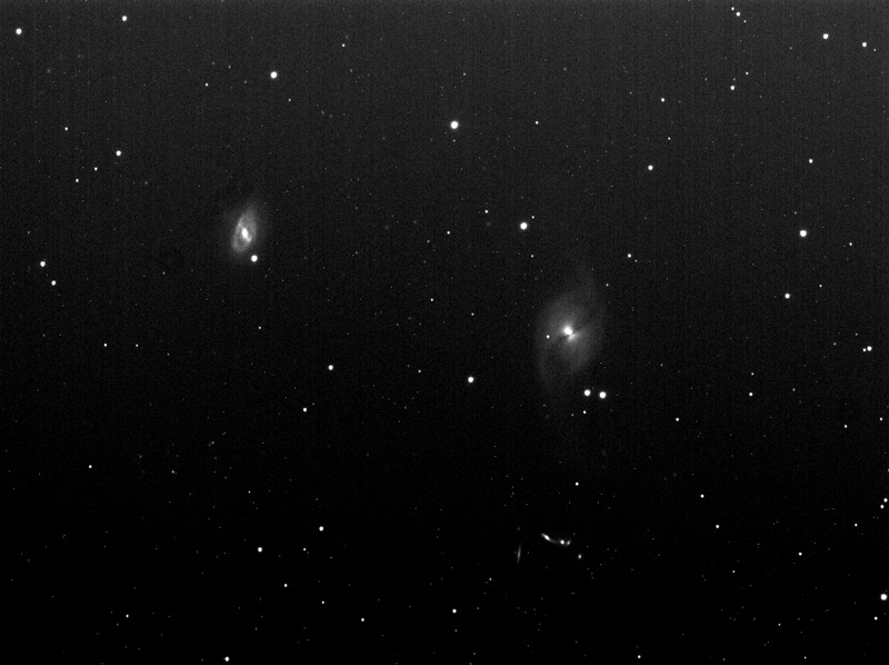 brute3718.jpg?psid=1