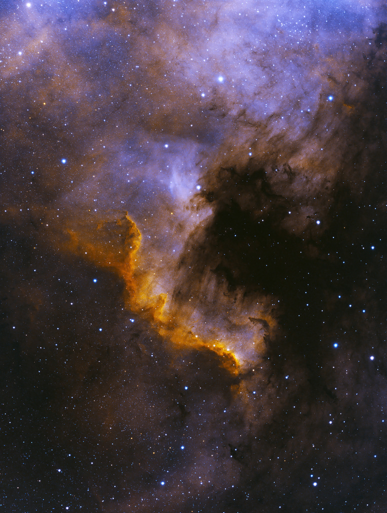 NGC7000