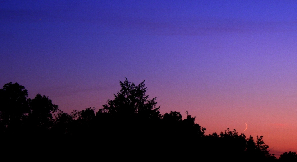 Photo%20291b.jpg?psid=1