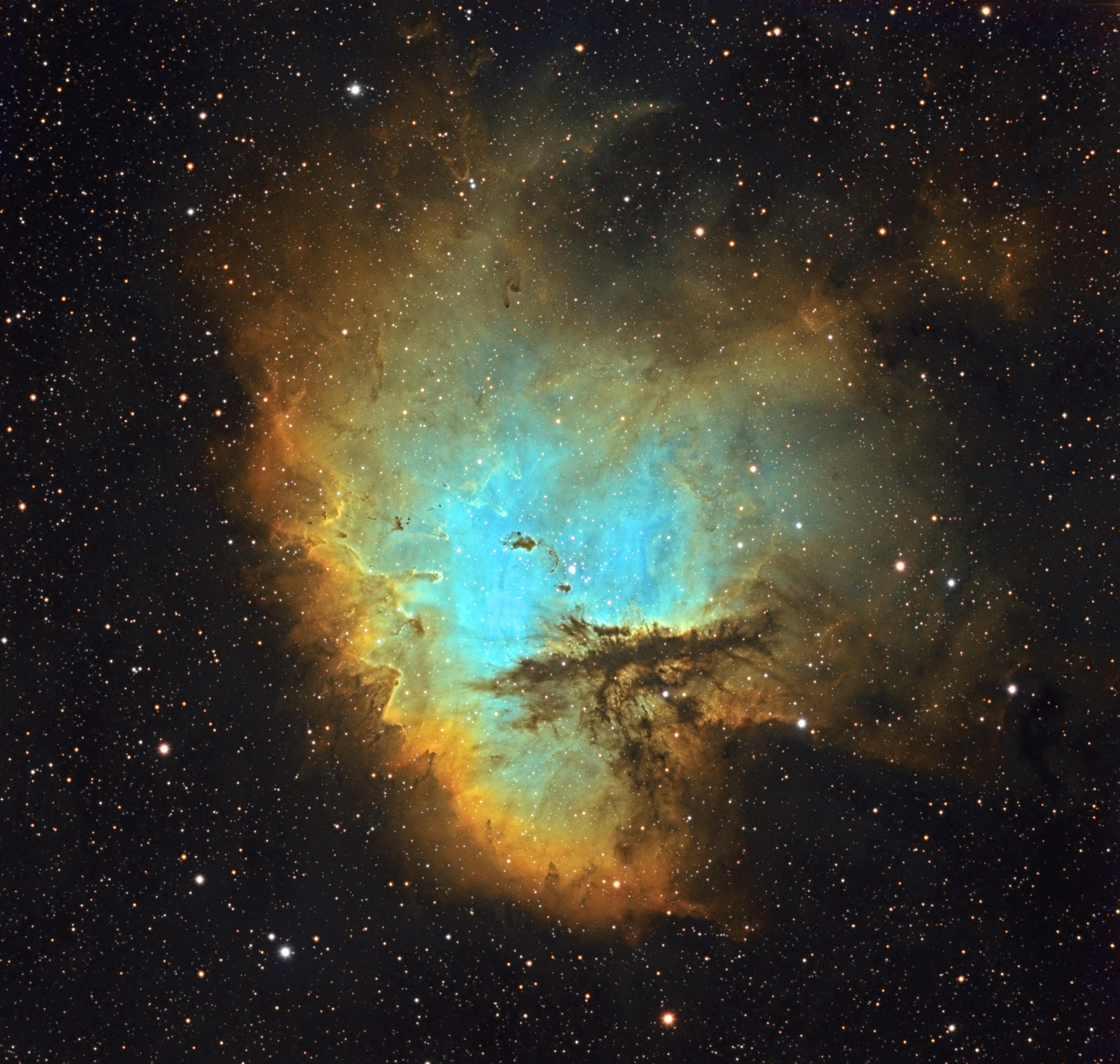 390544NGC281120100170CSecopiecrop.jpg