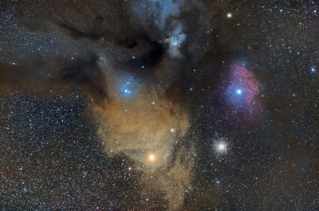 Rho Ophiuchus
