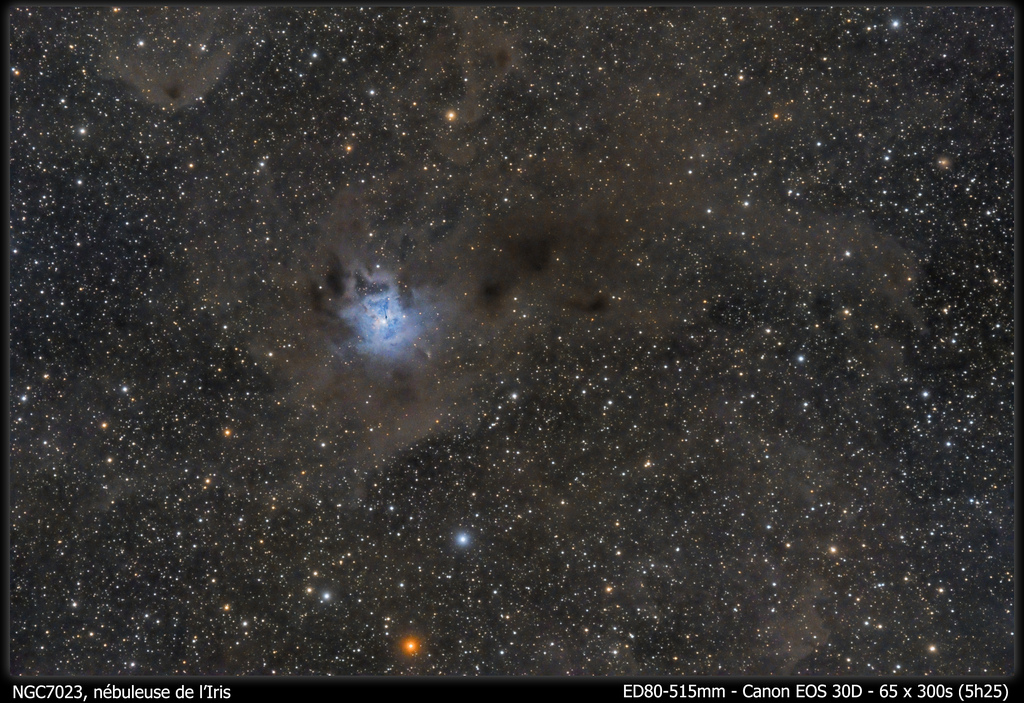NGC7023 - Nébuleuse de l'Iris