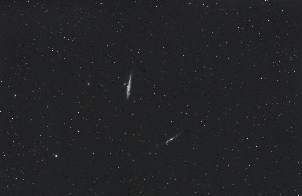 La Baleine et la Crosse de Hockey