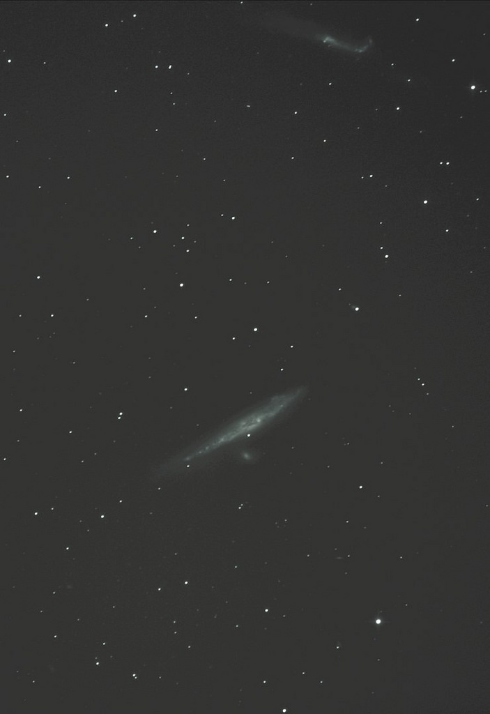 NGC 4631 (galaxie de la Baleine)+ NGC 4656 (Galaxie Crosse Hockey ) -  (chiens de chasse)