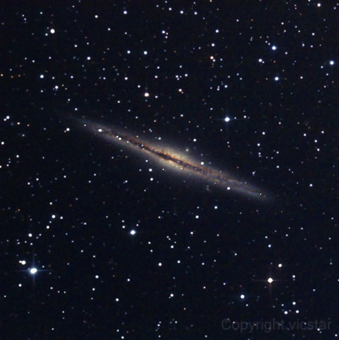 446610ngc891victor1.jpg