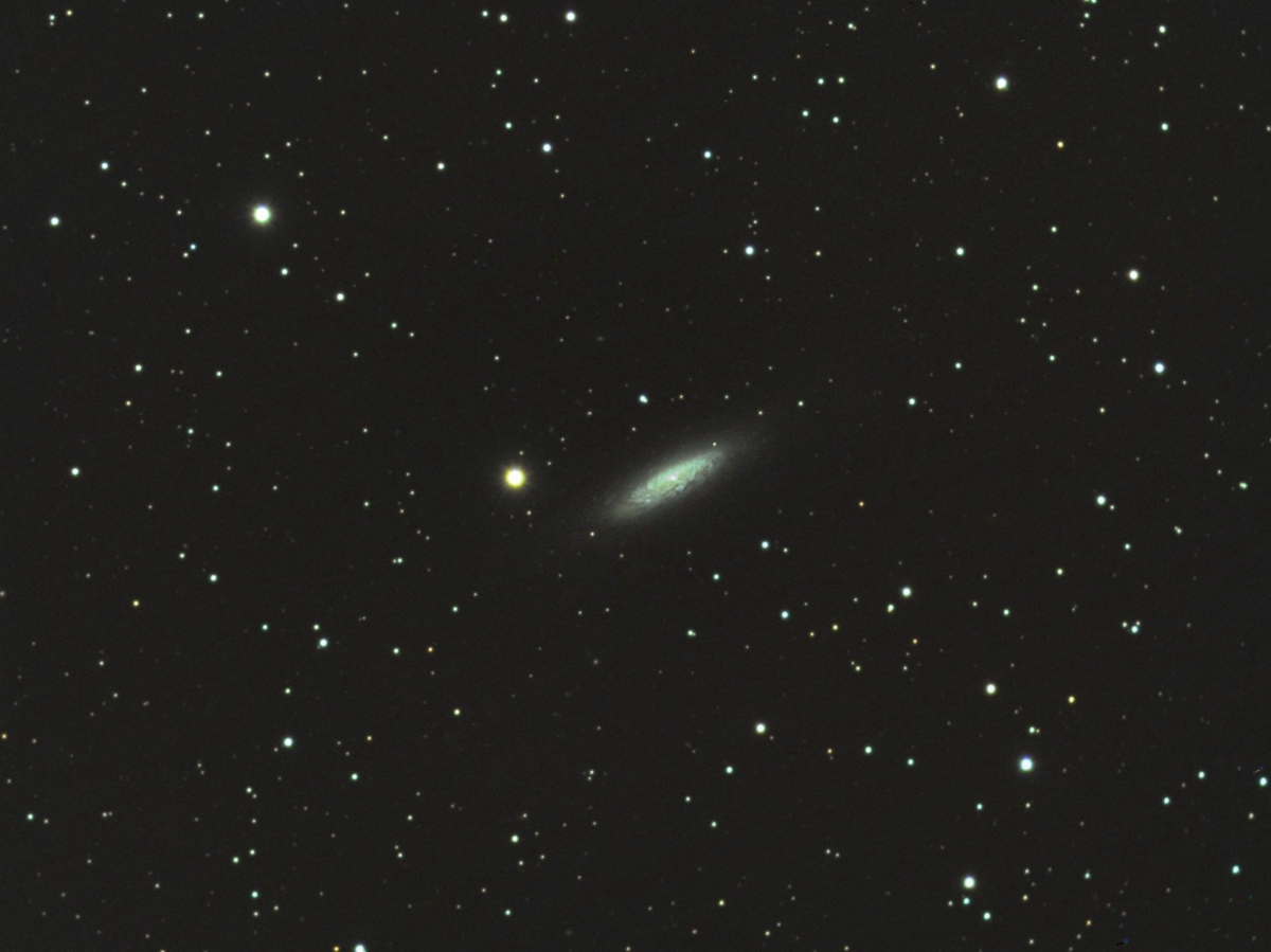 449985NGC65033.jpg
