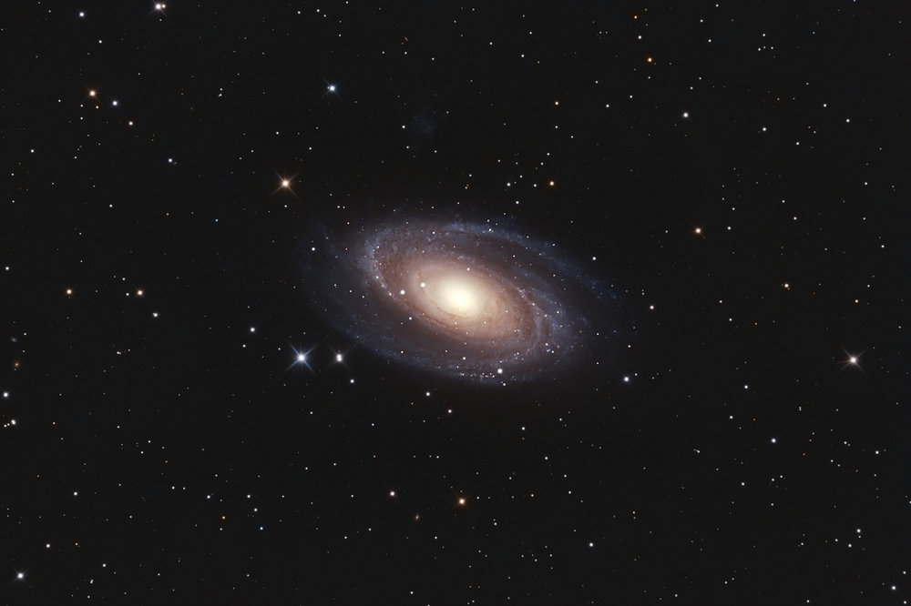 M81
