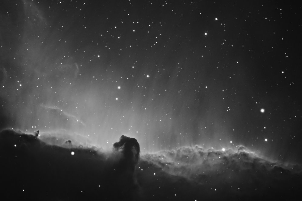 Horse head nebula