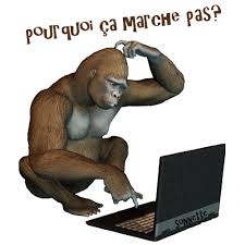 images?q=tbn:ANd9GcTRh6tRx1eujvYymdBnalUcAVGfB3HGw_vQNJRibOYUtSaEgUP-2Q