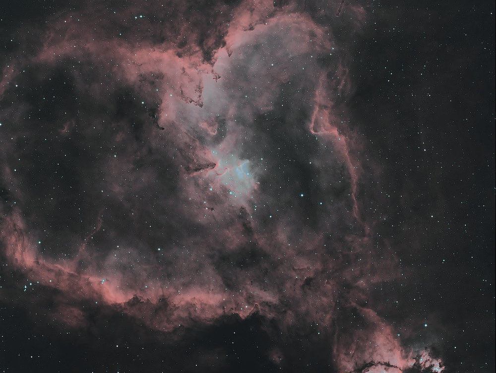 IC1805 HOO