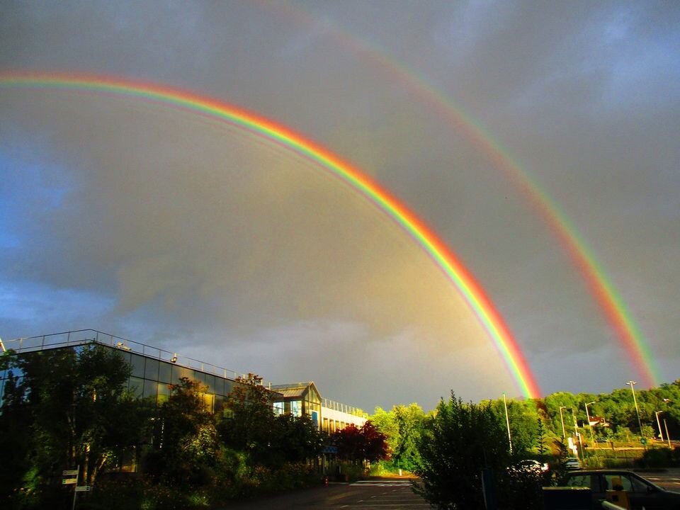 Aucune description de photo disponible.