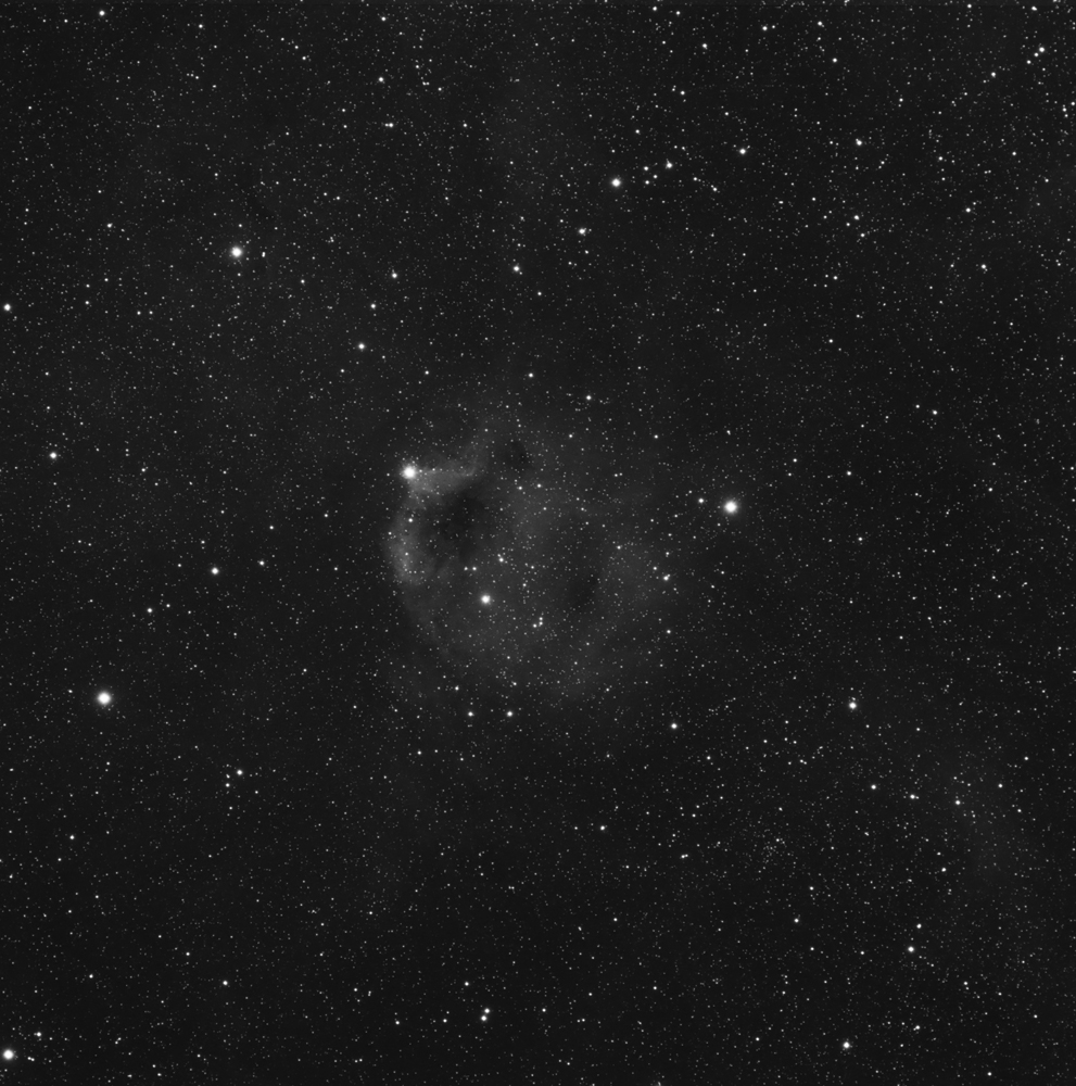 sh2-173%20petite.jpg?dl=1