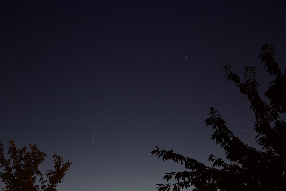 Comète  C/2020 Neowise