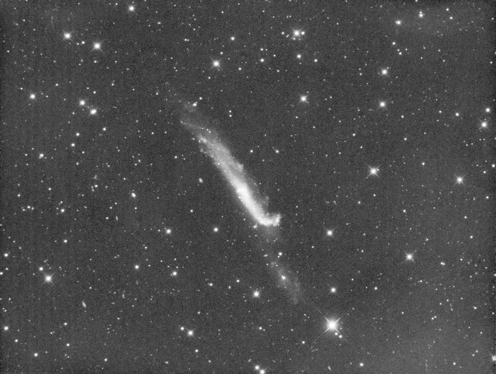 512434NGC4556STF.jpg