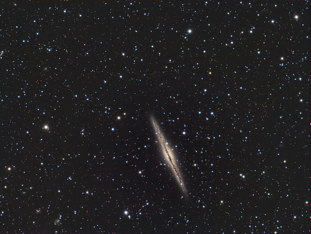 554694NGC891forumcopie.jpg
