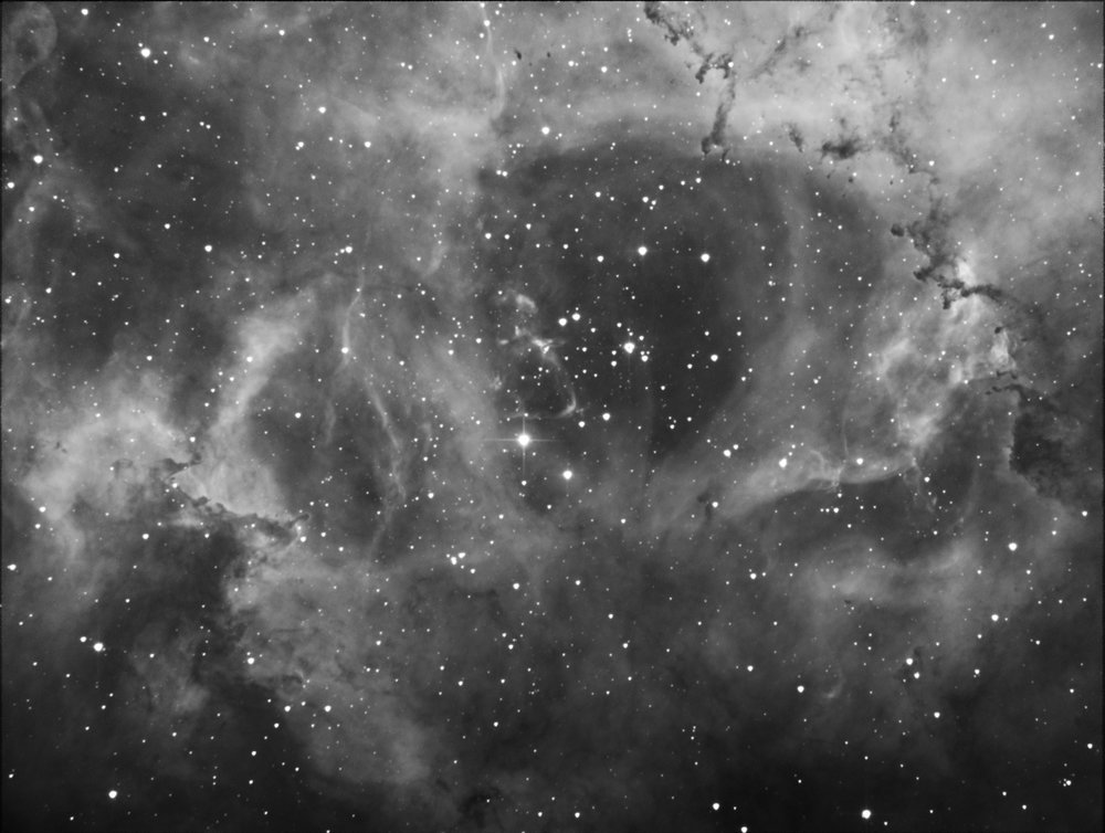 rosette_18_2_2015mieux.jpg?psid=1