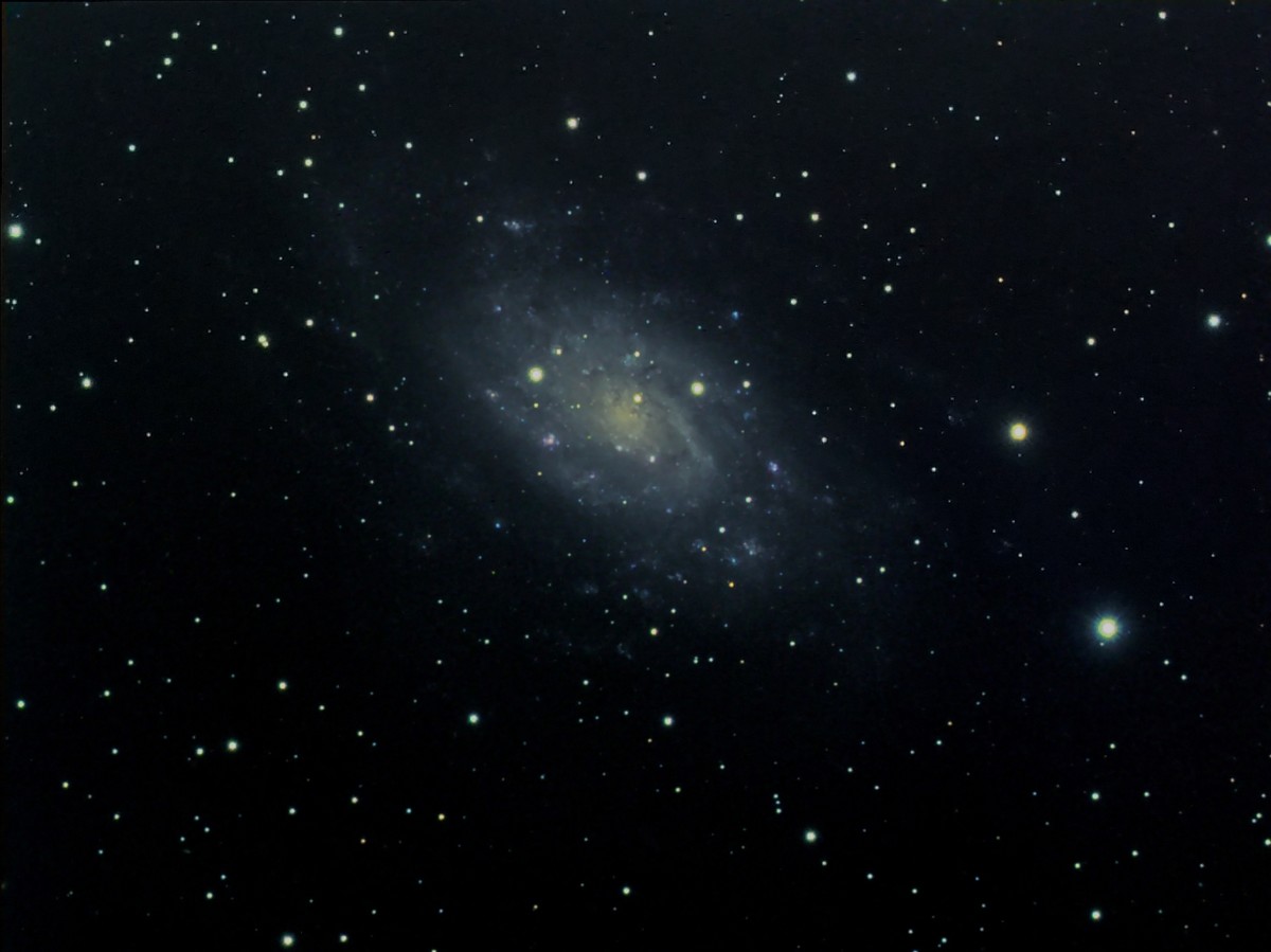 584703NGC2403forum.jpg